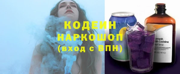 ECSTASY Богданович