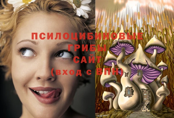 ECSTASY Богданович