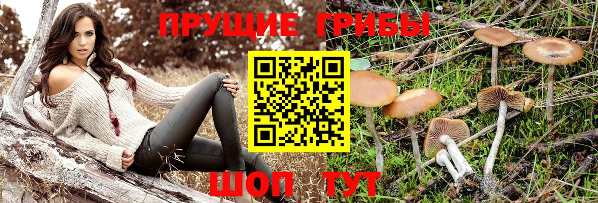 Псилоцибиновые грибы Magic Shrooms  где можно купить   Псилоцибиновые грибы Magic Shrooms  Десногорск  Вход с VPN 