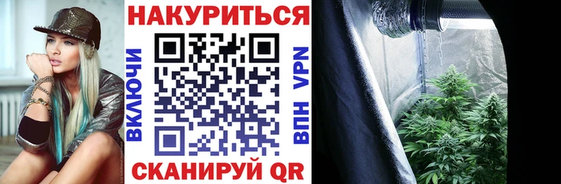 MEGA tor  Десногорск  Бошки марихуана OG Kush 