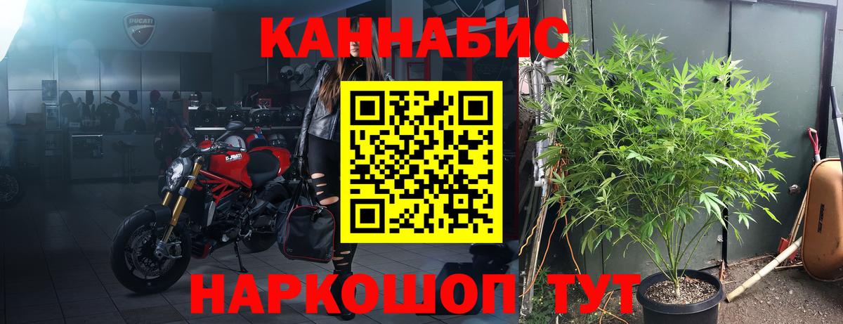 Бошки марихуана тримм  Каннабис марихуана  Десногорск  Бошки марихуана ГИДРОПОН  Конопля ГИДРОПОН 